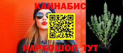гидра Кулебаки