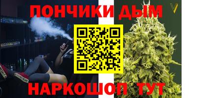 крисы Кунгур
