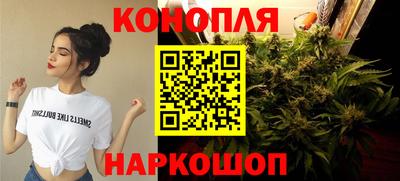крисы Кунгур