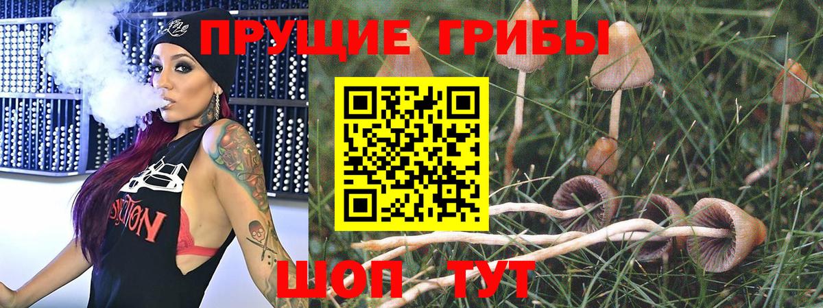 продажа наркотиков  Галлюциногенные грибы Psilocybine cubensis  Вход с VPN  Екатеринбург 